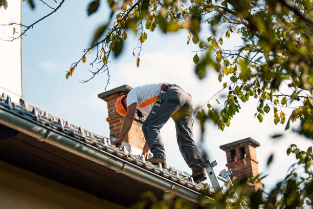 Best Best Roofing Contractors  in Saucier, MS