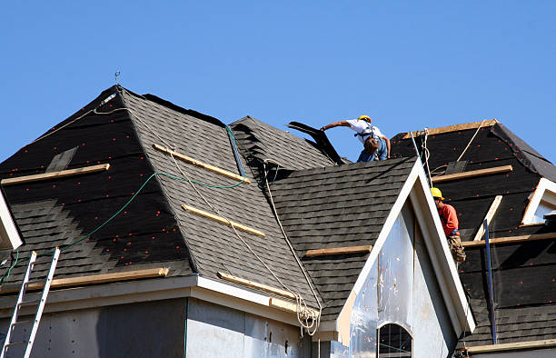 Best Roof Repair Services  in Saucier, MS