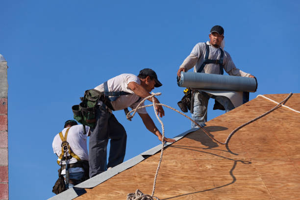 Best Roof Restoration Services  in Saucier, MS