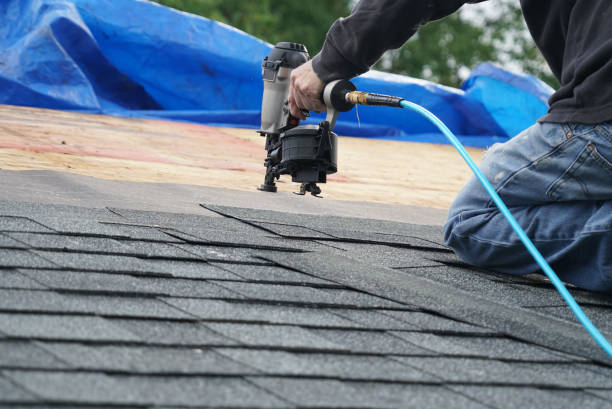 Best Storm Damage Roof Repair  in Saucier, MS