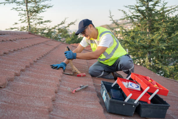 Best Residential Roof Replacement  in Saucier, MS